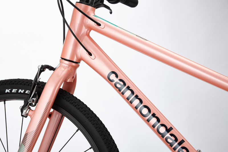 2021 Cannondale Kids Quick 24 Childs Bike in Pink-1