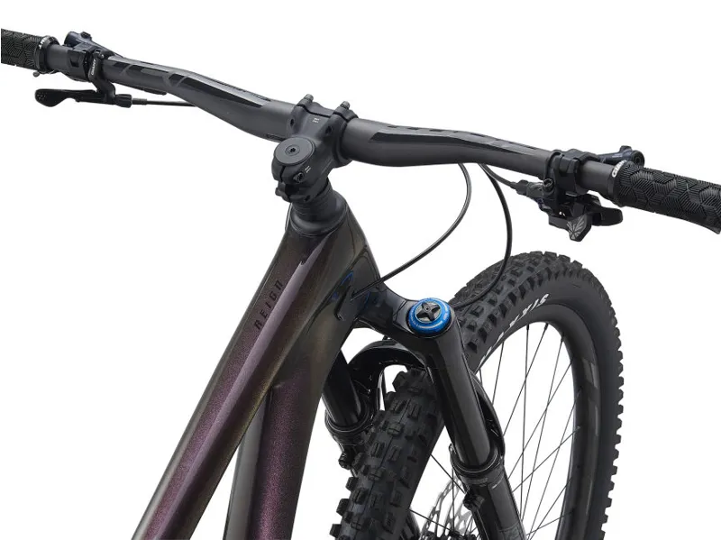 2021 Giant Reign Advanced Pro 29 1 Mountain Bike in Purple-5