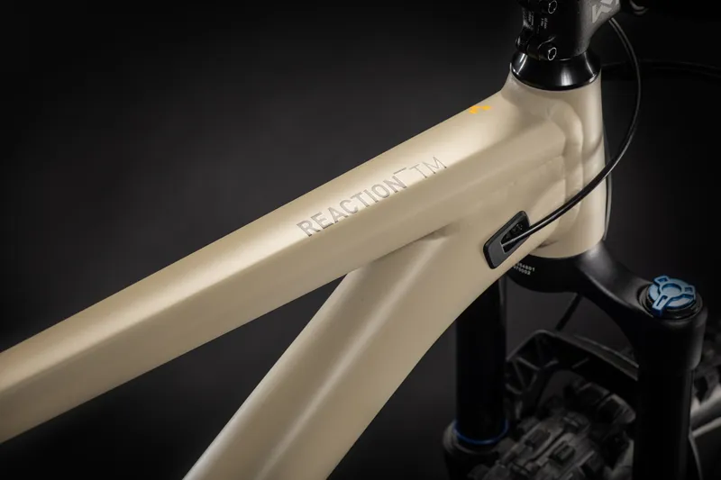 2021 Cube Reaction TM Mountain Bike in Brown-4