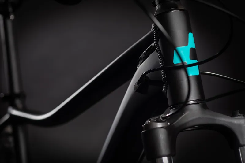 2021 Cube Access Exc Womens Mountain Bike in Black-1