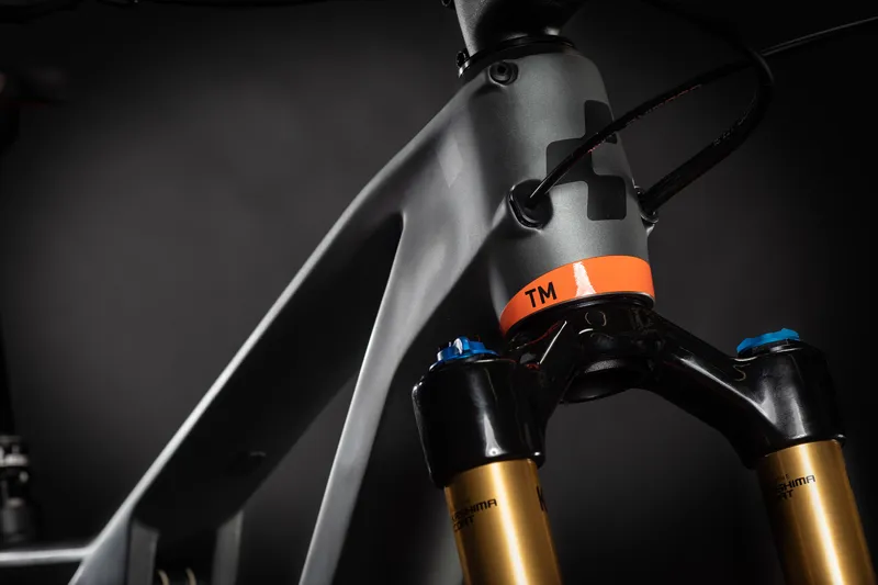 2021 Cube Ams 100 C68 Tm 29 Mountain Bike in Grey-2