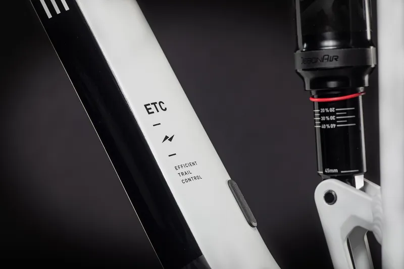 2021 Cube Stereo 120 Race 29 Mountain Bike in Grey-1