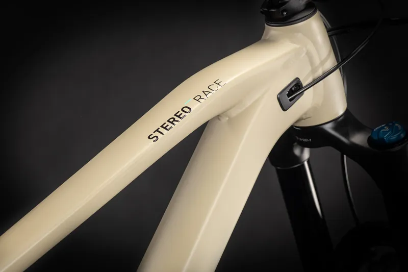 2021 Cube Stereo 170 Race 29 Medium Mountain Bike in Brown-4