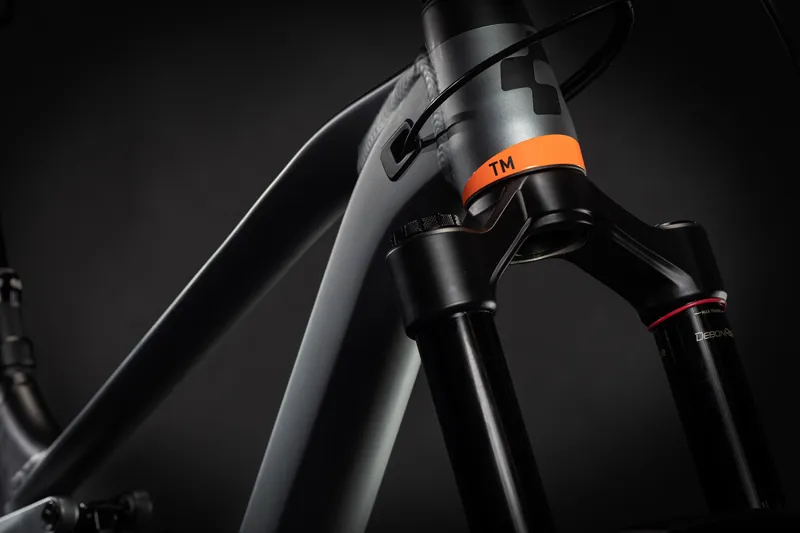 2021 Cube Stereo 170 TM 29 Mountain Bike in Grey-3