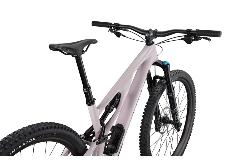 2021 Specialized Stumpjumper EVO Comp Carbon Mountain Bike in Pink-2