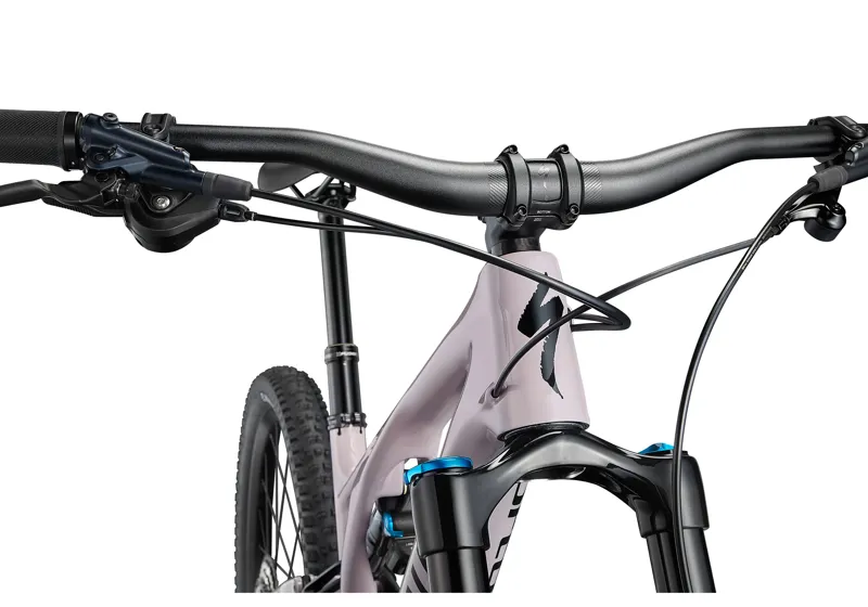 2021 Specialized Stumpjumper EVO Comp Carbon Mountain Bike in Pink-1