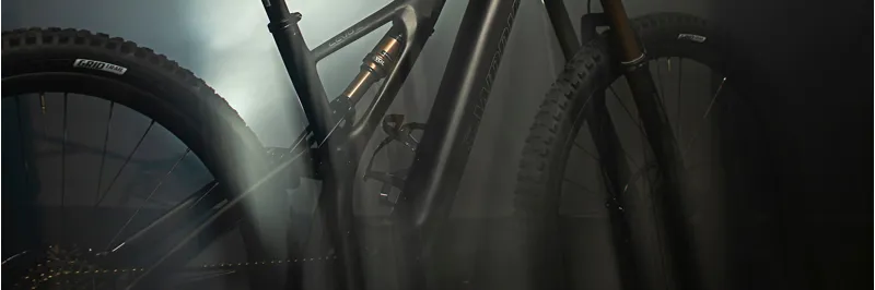 2020 Specialized S-Works Turbo Levo SL Carbon FS MTB in Grey-1