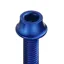Token Alloy Bottle Cage Bolts in Blue