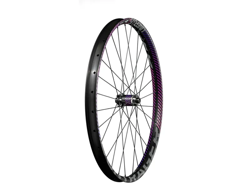 Bontrager Line Plus TLR 29 MTB Front Wheel in Black