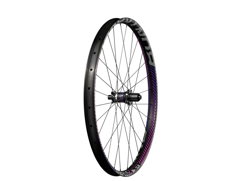 Bontrager Line Plus TLR 29 MTB Front Wheel in Black