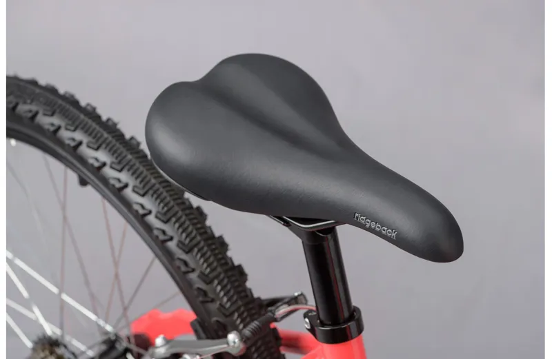 2021 Ridgeback Destiny 24 Kids Bike in Pink-3